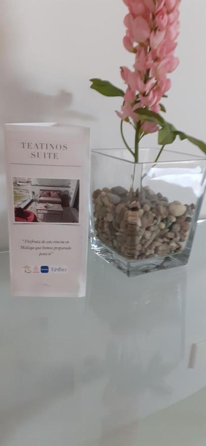 Teatinos Suite มาลากา ภายนอก รูปภาพ